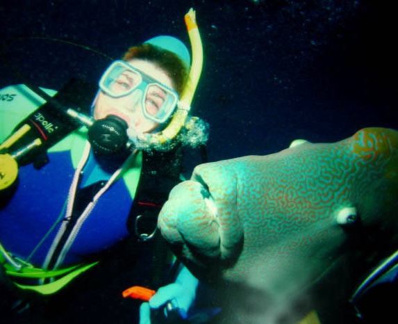 Scuba Diving Great Barrier Reef